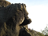 am Jägersteig im Schrammsteinmassiv